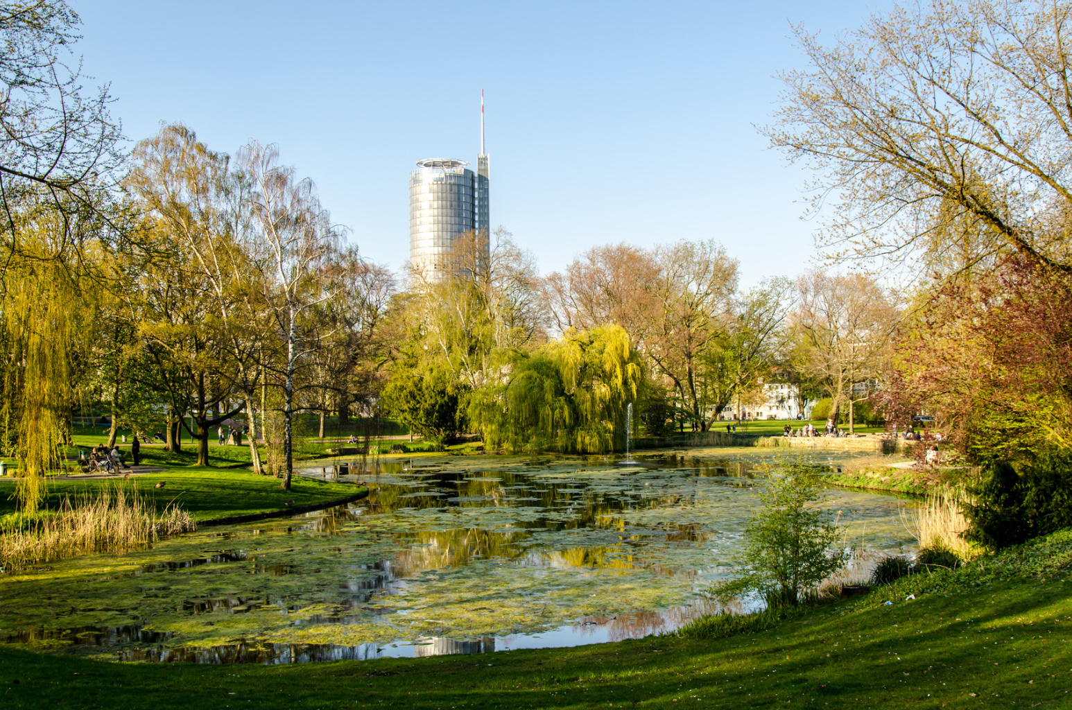 Ein Teich im Stadtpark Essen, umgeben von zahlreichen Bäumen, im Hintergrund ein Hochhaus; Kurtz Detektei Essen